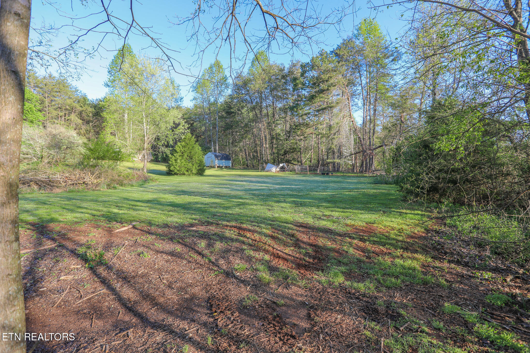 787 Hawkins Road Sweetwater, TN 37874 - Photo 19 of 20 Back4-2