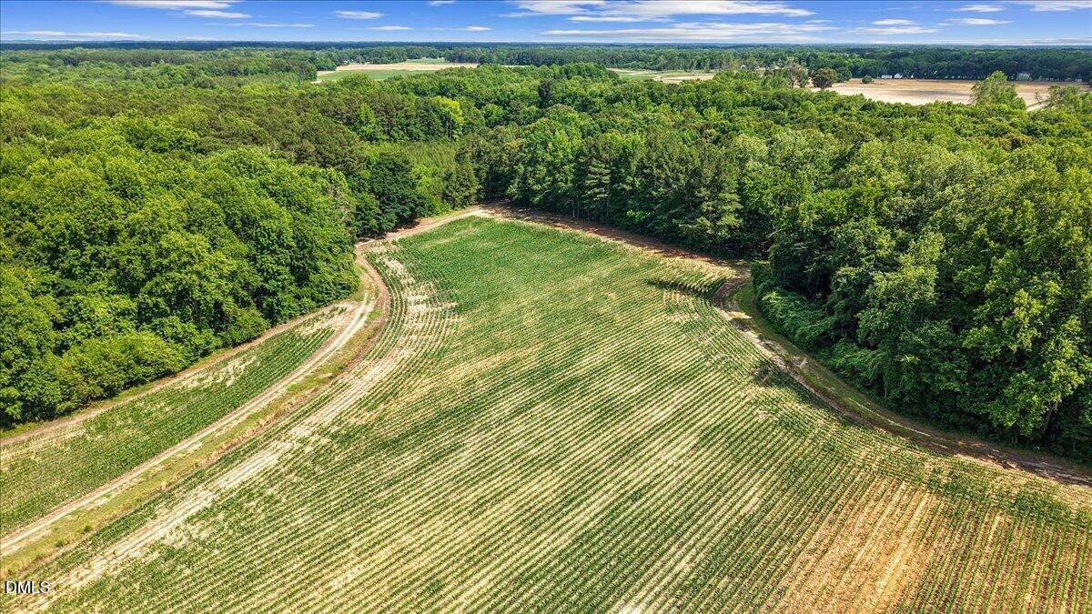 0 Antioch Church Road Middlesex, NC 27557 - Photo 26 of 26