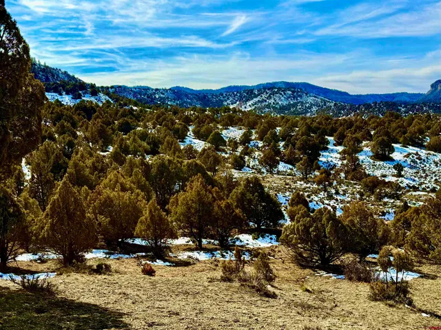 $169,500 | Lot 27 Riverview Drive, Pagosa Springs, CO 81147