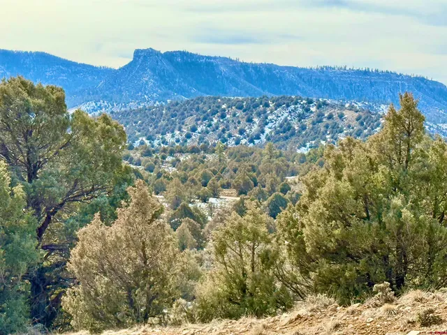 $169,500 | Lot 27 Riverview Drive, Pagosa Springs, CO 81147