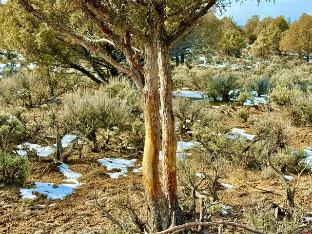 $169,500 | Lot 27 Riverview Drive, Pagosa Springs, CO 81147