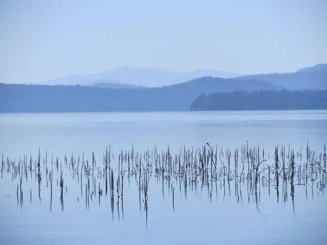 a room with a table and a chair