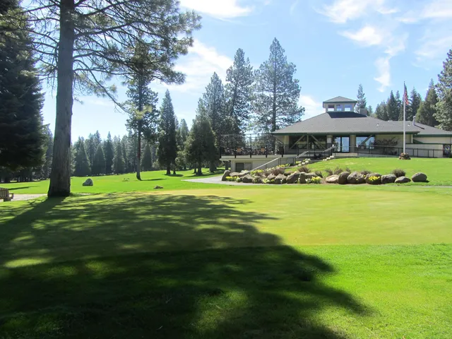 a view of a yard with large trees