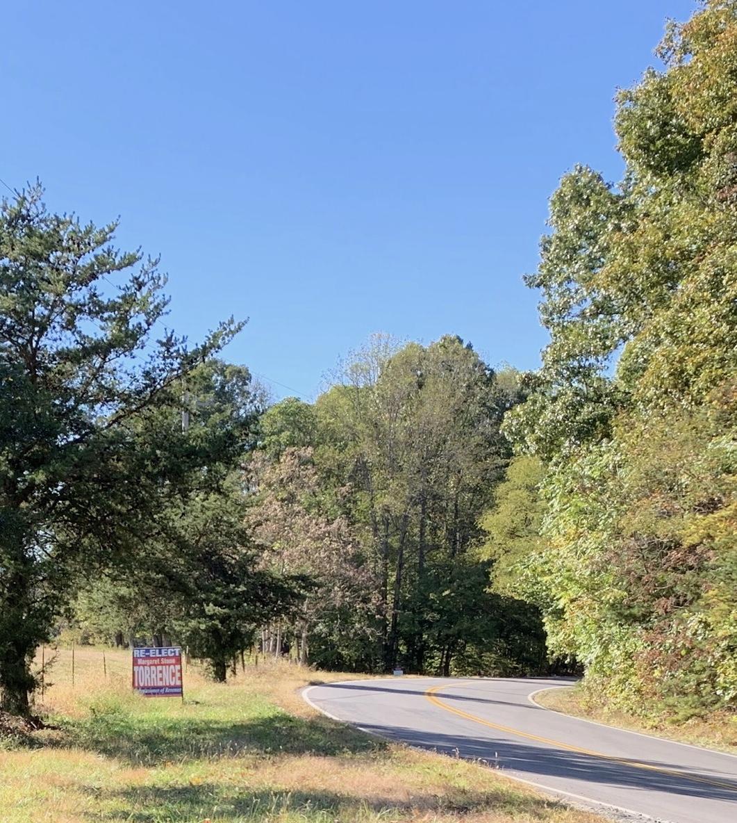0 Scruggs Road Moneta, VA 24121 - Photo 3 of 5 a view of a yard with a tree
