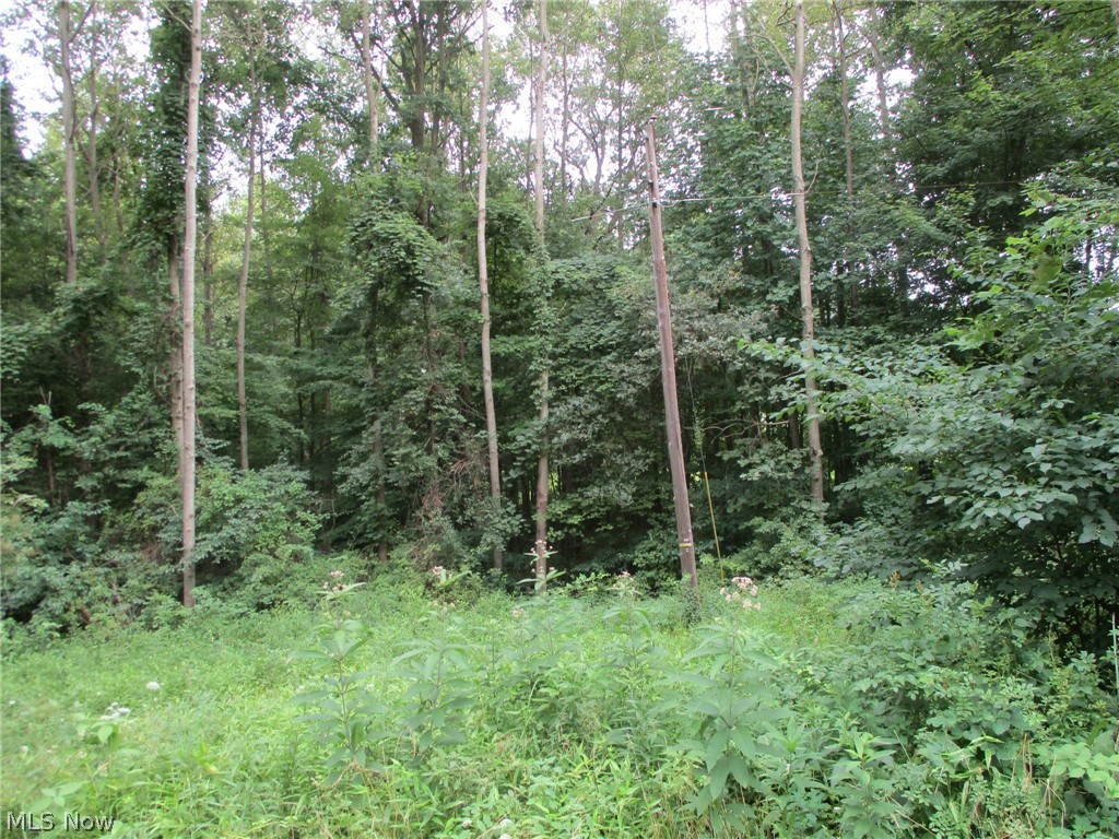 Middle Run Road Dover, OH 44622 - Photo 8 of 9 Gallery Image 8