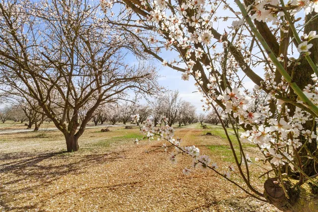 a view of mountain view with trees