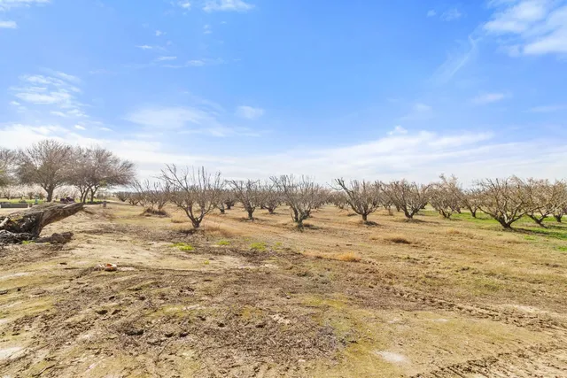 a backyard of a house with large trees