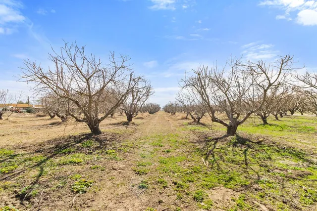 a view of a yard covered with snow in back