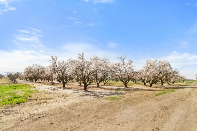 a view of a yard covered with snow in back