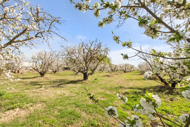 an aerial view of a house with a ocean view