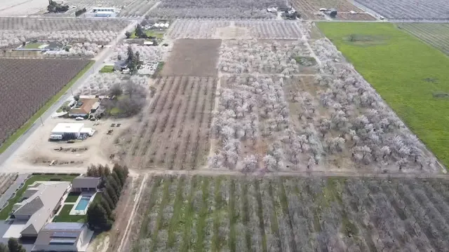 a view of a garden with a building