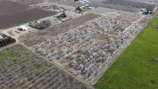 a view of a backyard with wooden floor