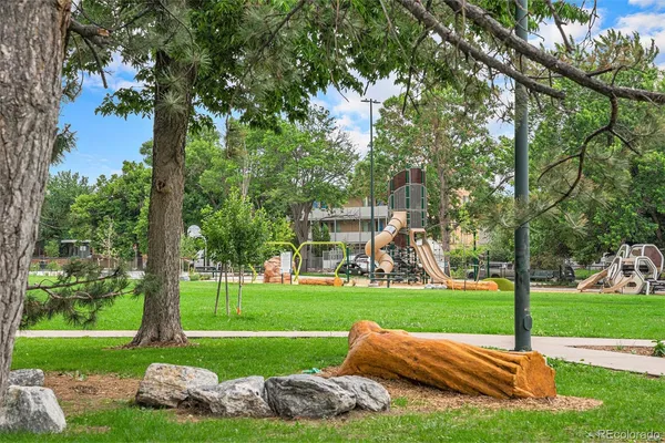 a view of a park with large trees
