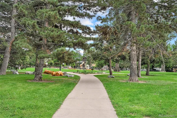 a park with large trees