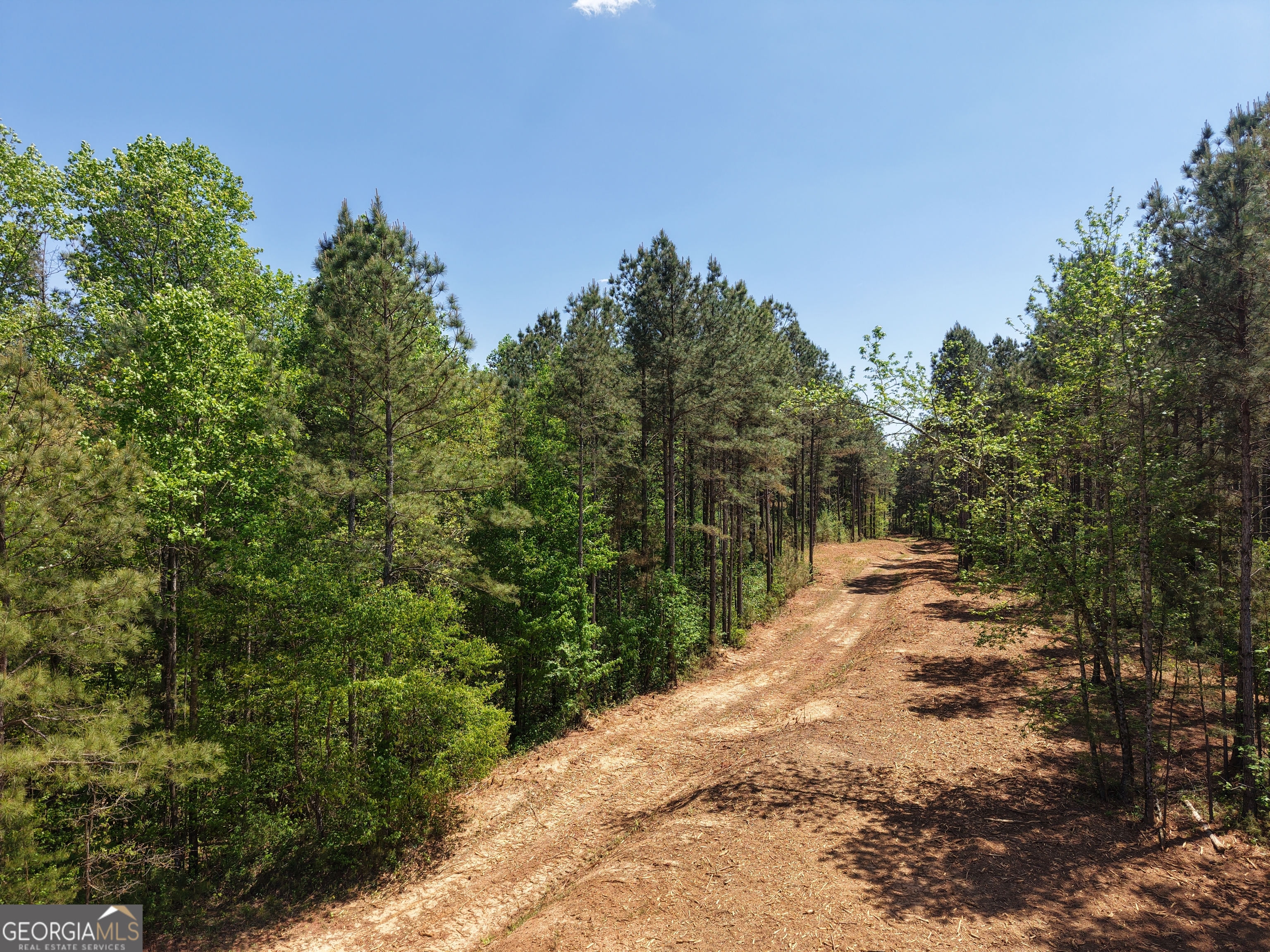 0 Ryo Mountain Road, Unit 9609 Fairmount, GA 30139 - Photo 17 of 87 Gallery Image 17