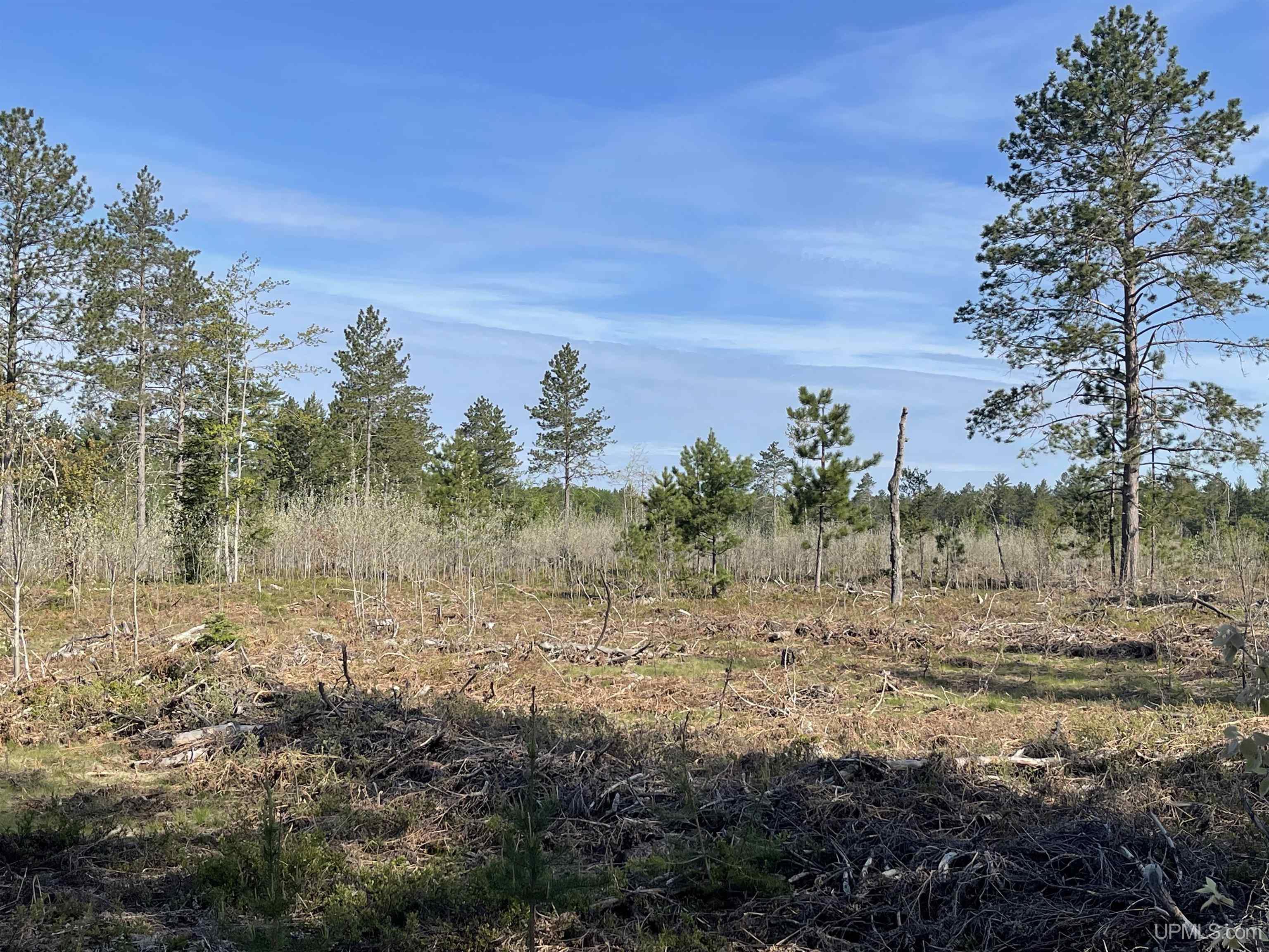 Tbd Tbd Hay Meadow Road Manistique, MI 49854 - Photo 38 of 51