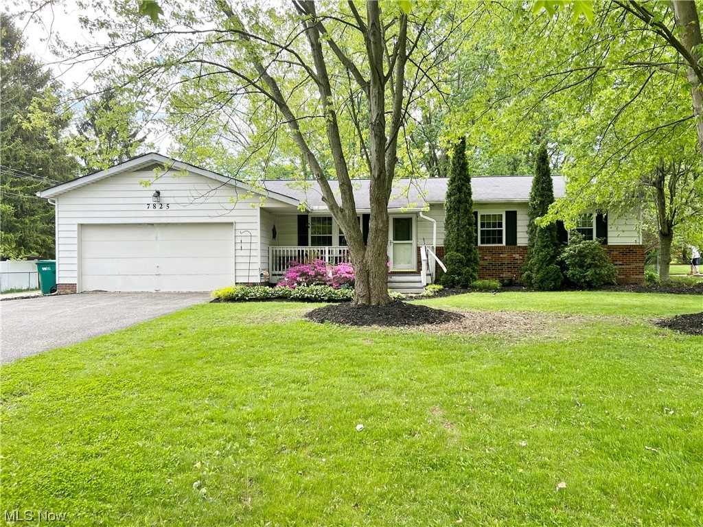 7825 Chillicothe Road Mentor, OH 44060 - Photo 1 of 30 Gallery Image 1