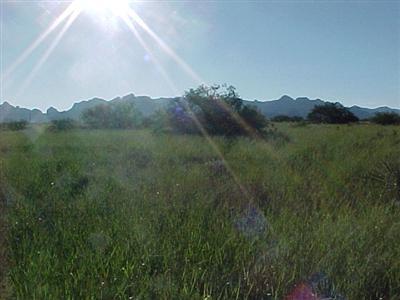0 East Horse Ranch Road, Unit 50 St. David, AZ 85630 - Photo 2 of 3