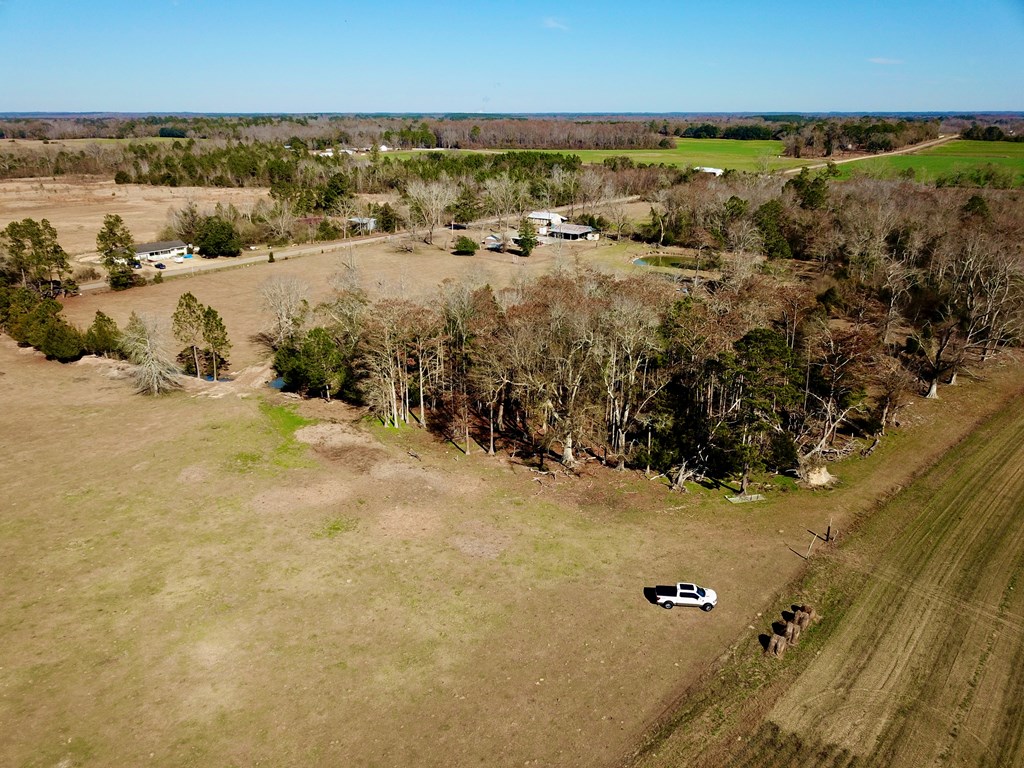 12.7-acres Nobles Road Dothan, AL 36301 - Photo 17 of 41