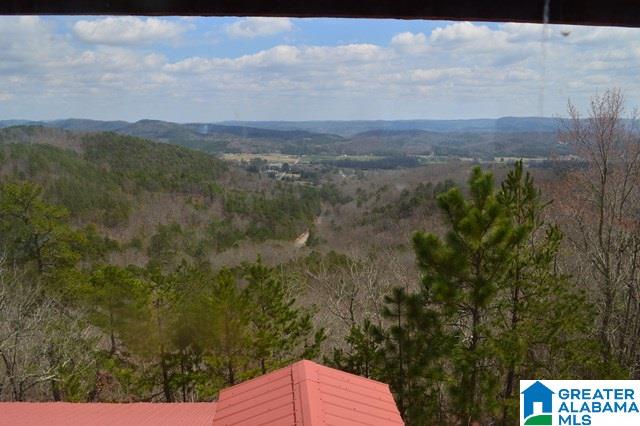 3417 Whites Gap Road Jacksonville, AL 36265 - Photo 48 of 49
