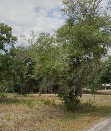 a view of a yard with trees
