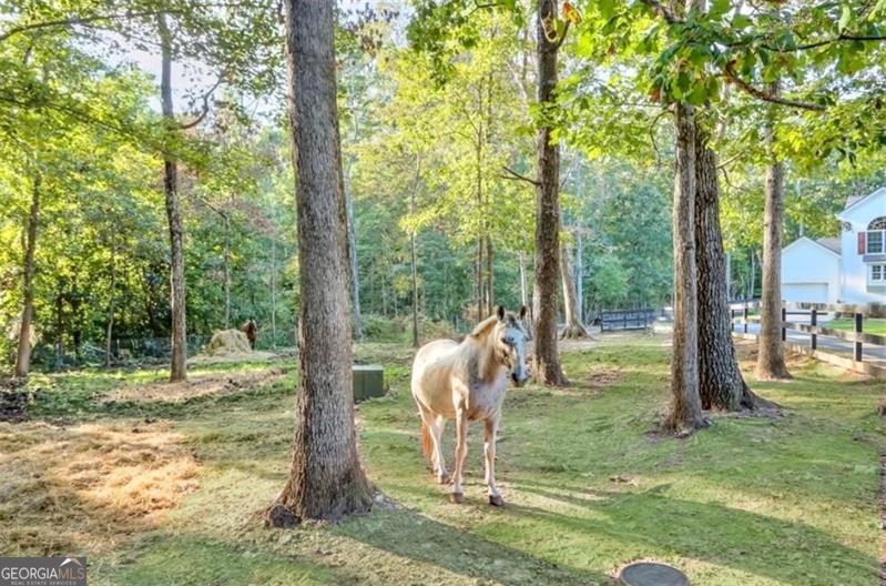 2203 Arbor Hill Road Canton, GA 30115 - Photo 20 of 64 a backyard of a house with lots of green space and fountain