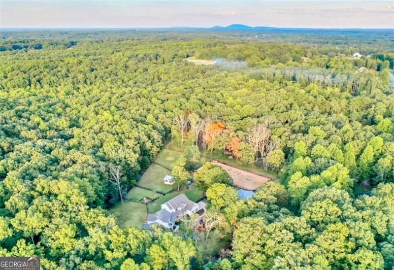 2203 Arbor Hill Road Canton, GA 30115 - Photo 3 of 64 a view of lake with mountain
