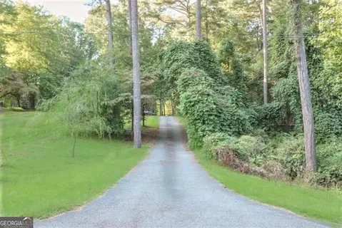 a view of a park with large trees