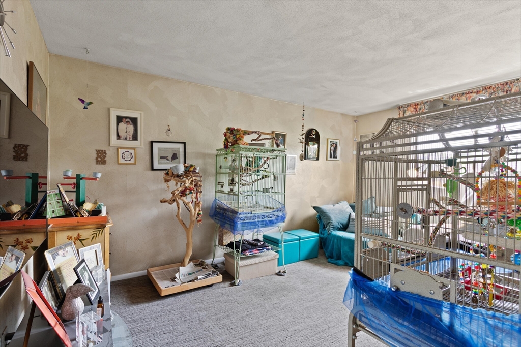 10 Katy Circle Randolph, MA 02368 - Photo 16 of 40