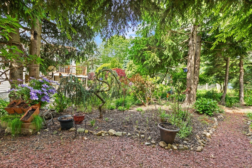 10 Katy Circle Randolph, MA 02368 - Photo 29 of 40