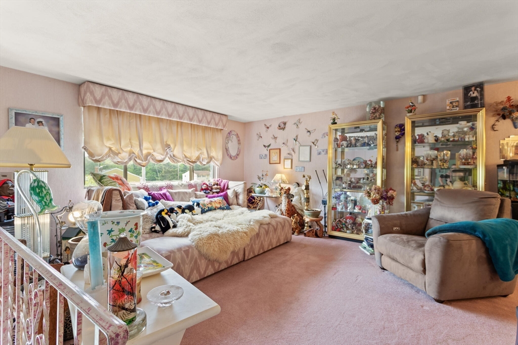 10 Katy Circle Randolph, MA 02368 - Photo 3 of 40