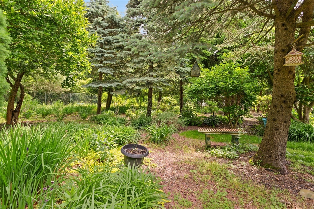 10 Katy Circle Randolph, MA 02368 - Photo 33 of 40