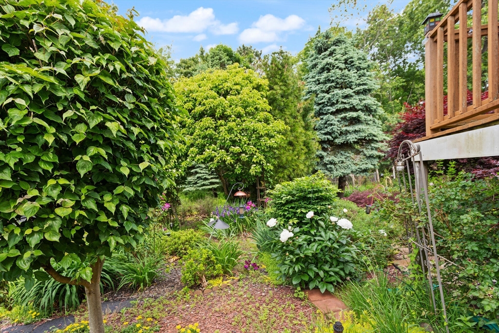 10 Katy Circle Randolph, MA 02368 - Photo 37 of 40