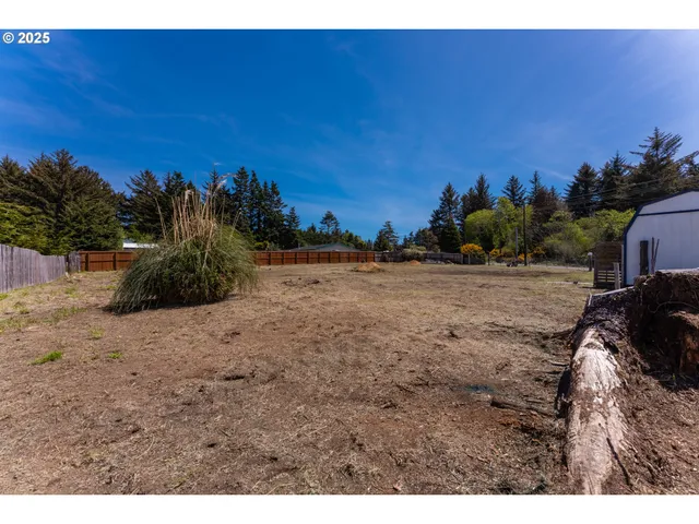a view of a park with large trees