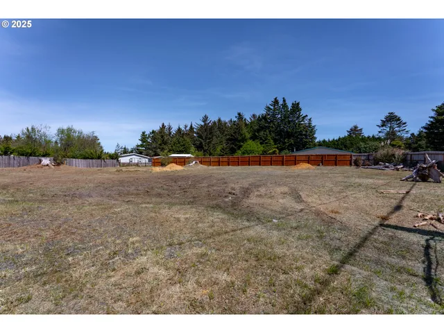a view of a dry yard with and trees