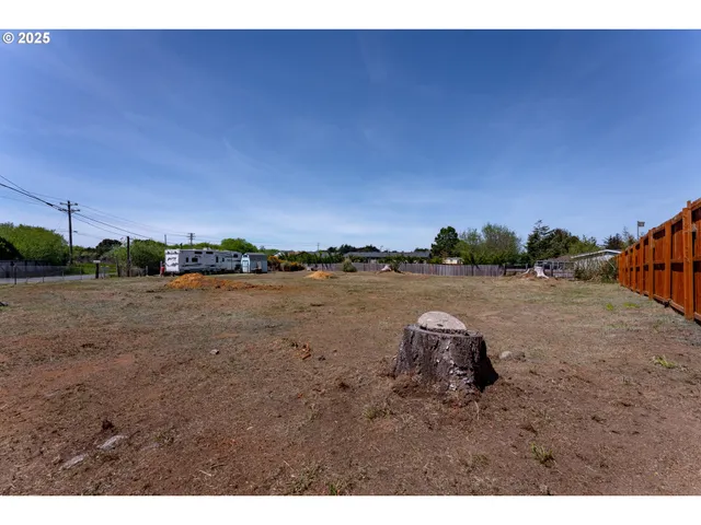 a view of a backyard with a barn and a cactus tree