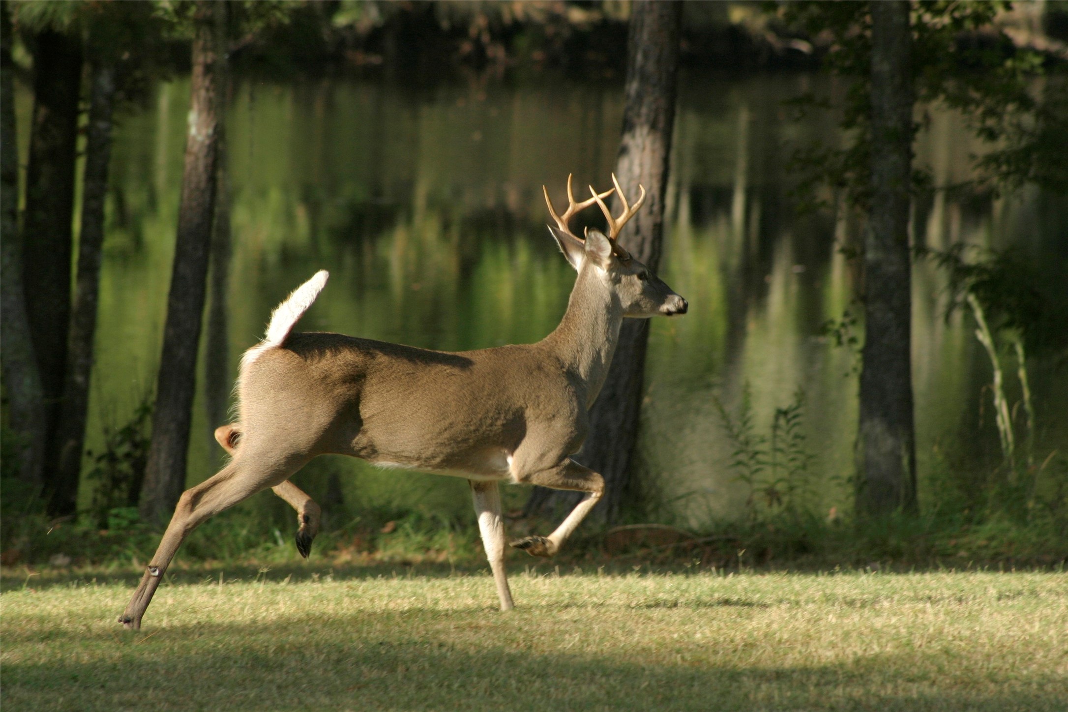 81 Pine Meadow Cleveland, TX 77327 - Photo 16 of 23 an aerial view of a residential houses with outdoor space and lake view