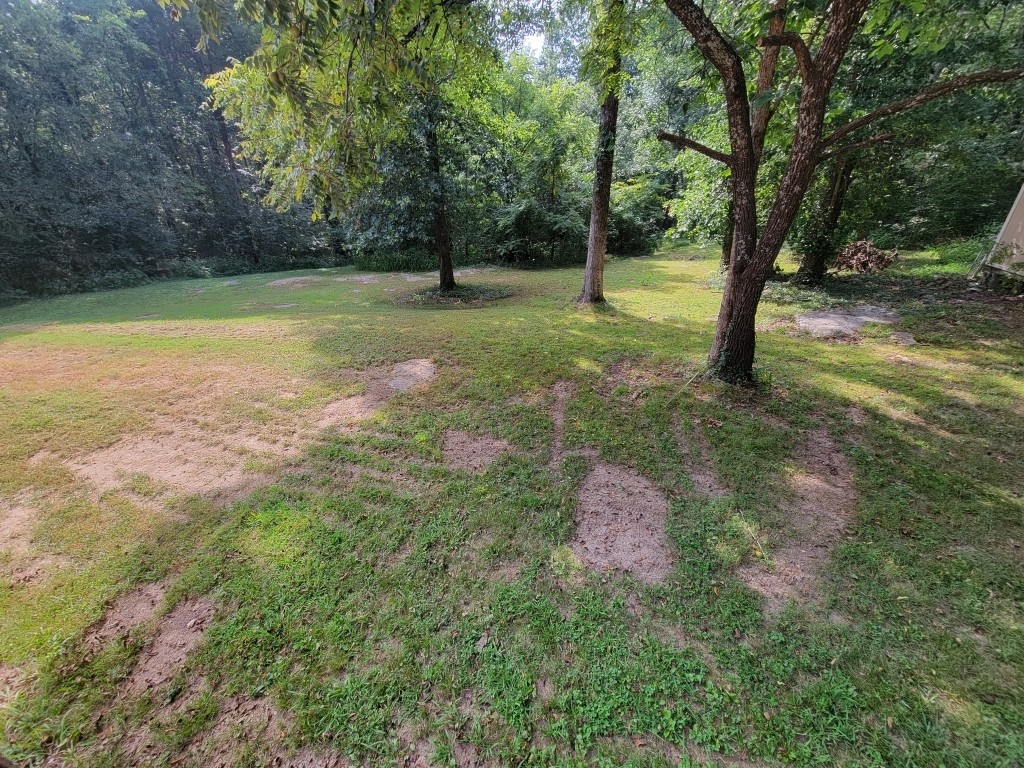 6824 Beckwith Road Mount Juliet, TN 37122 - Photo 33 of 36 a view of a tree in a yard