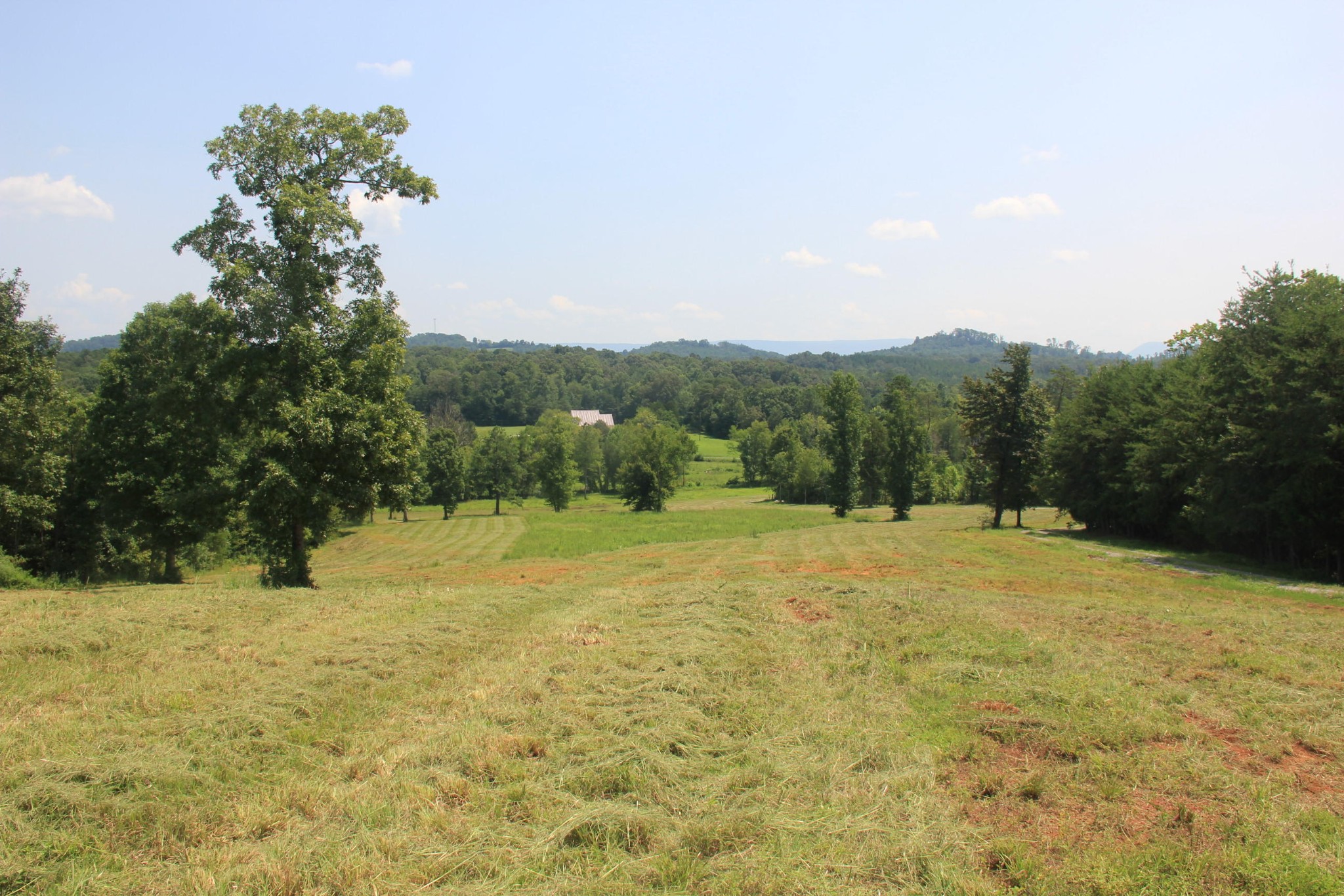 176 Co Road Athens, TN 37303 - Photo 2 of 12 Gallery Image 2