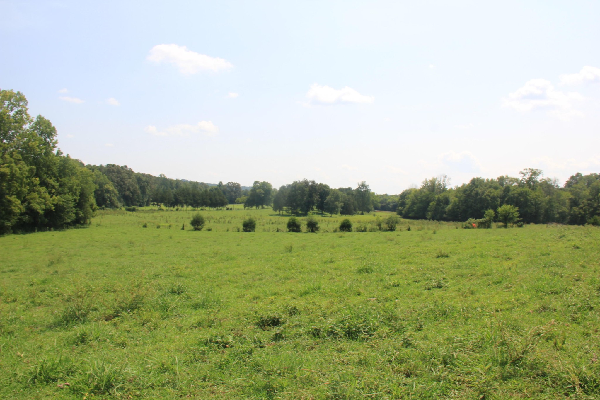 176 Co Road Athens, TN 37303 - Photo 6 of 12 Gallery Image 6