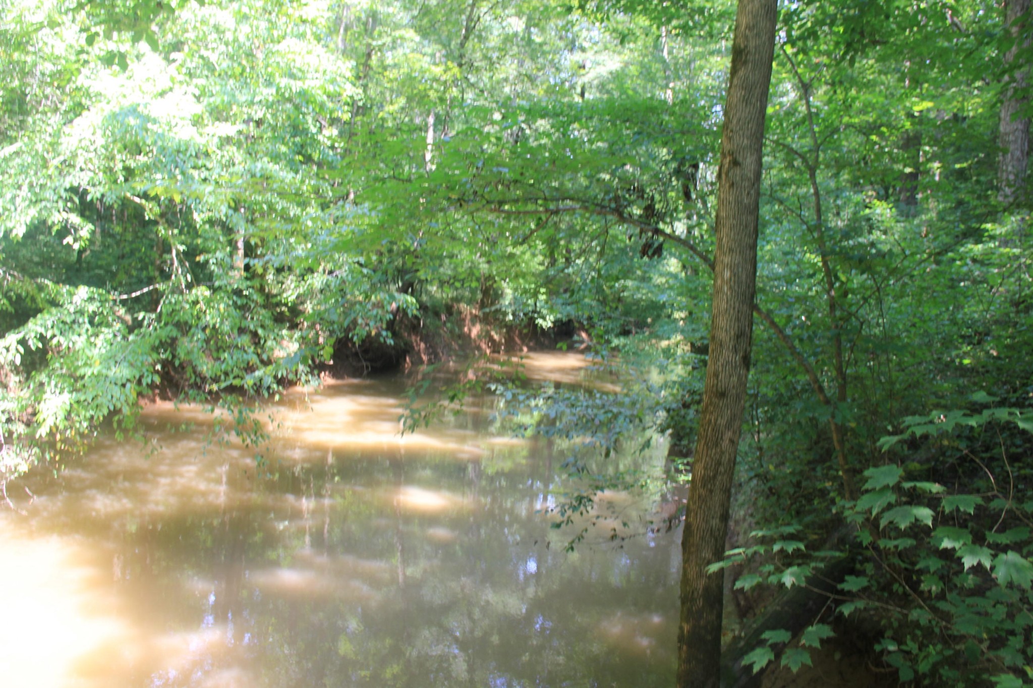 176 Co Road Athens, TN 37303 - Photo 8 of 12 Gallery Image 8