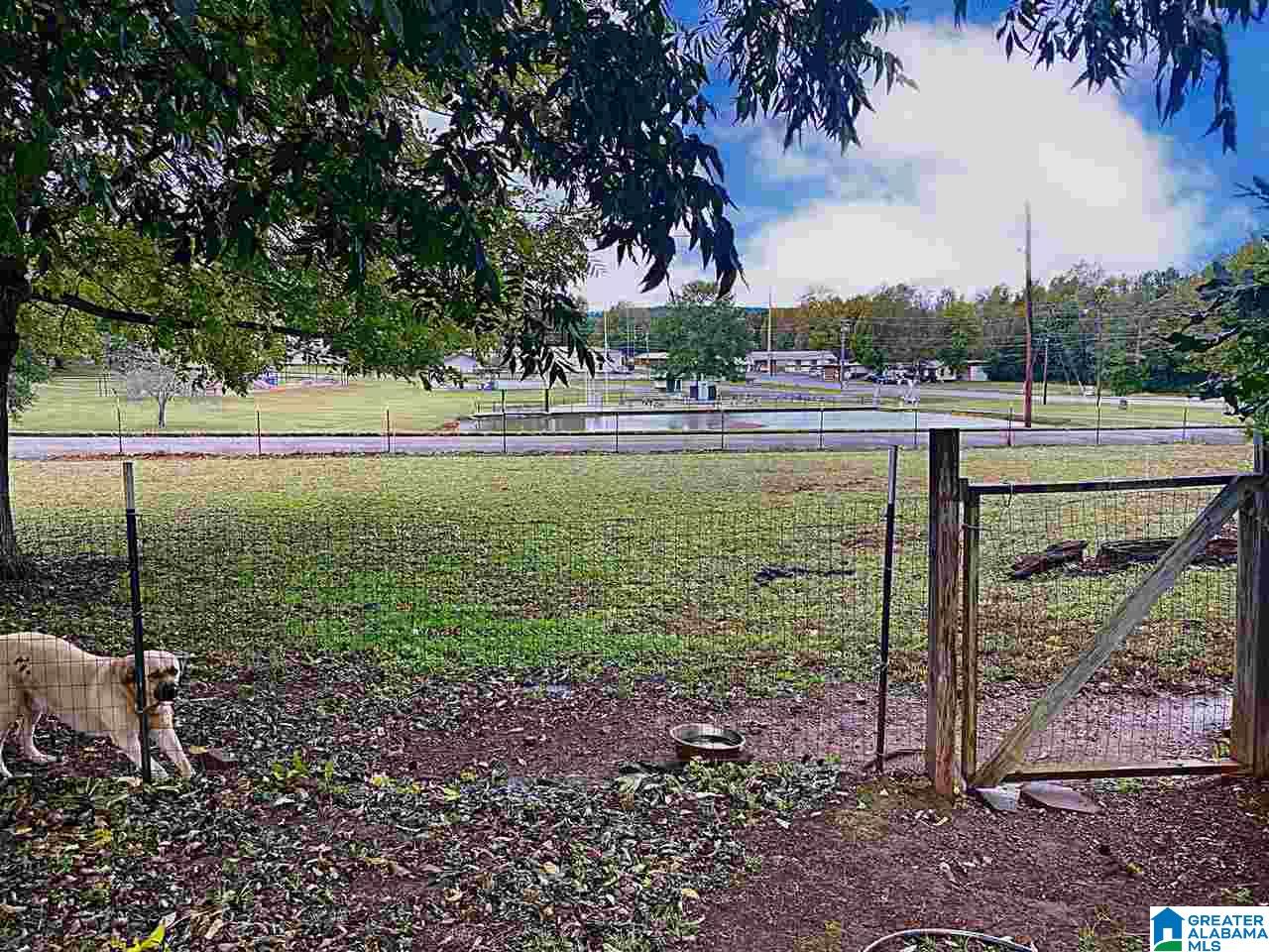 205 Rome Avenue Piedmont, AL 36272 - Photo 11 of 15