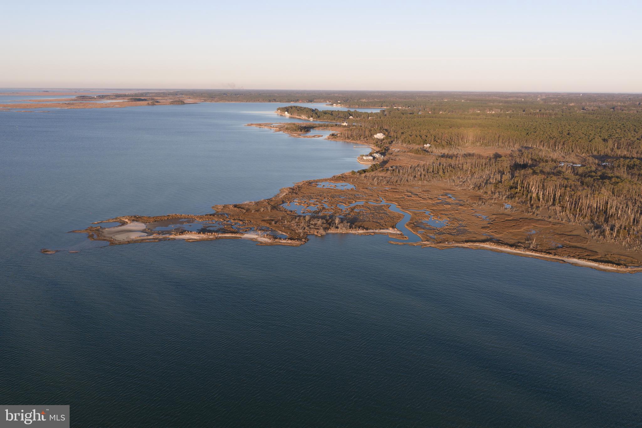 24227 Thicket Point Lane Onancock, VA 23417 - Photo 64 of 98 a view of an ocean