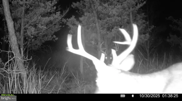 $2,350,000 | 24227 Thicket Point Lane, Onancock, VA 23417