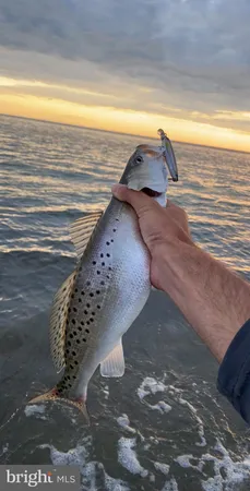 $2,350,000 | 24227 Thicket Point Lane, Onancock, VA 23417