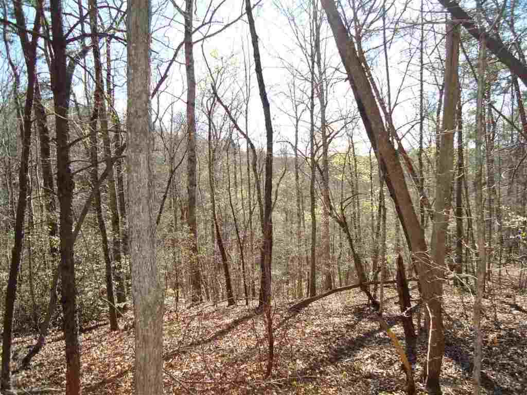 11.79-acres Old Liberty Road Westminster, SC 29693 - Photo 1 of 8 Gallery Image 1
