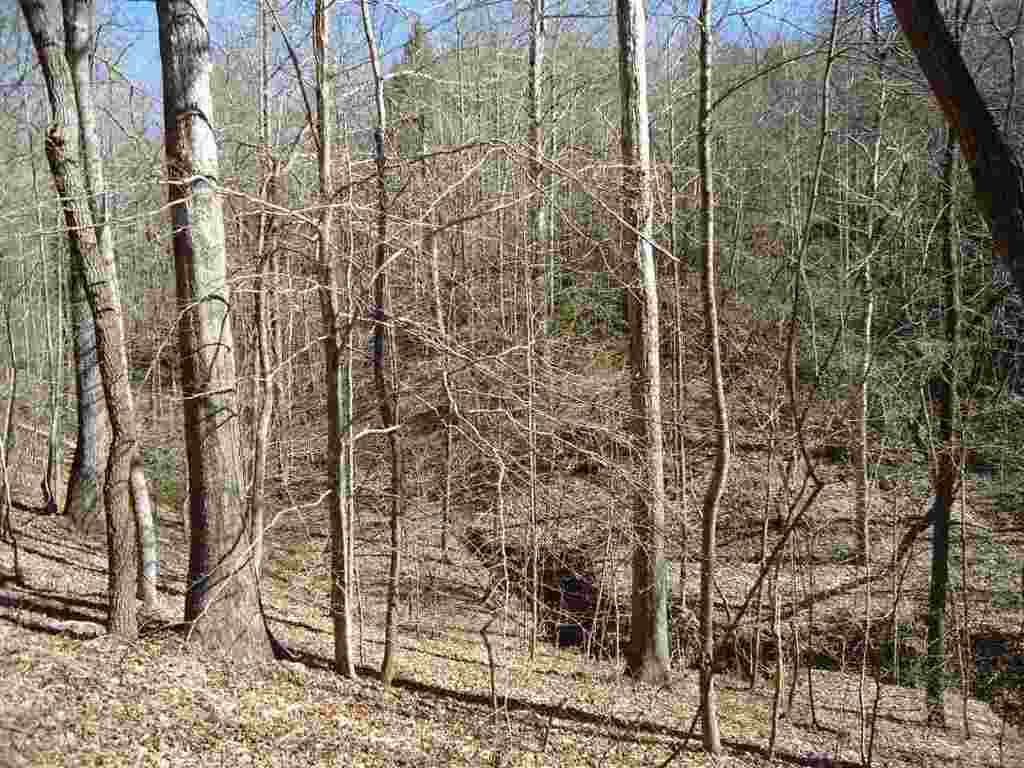 11.79-acres Old Liberty Road Westminster, SC 29693 - Photo 4 of 8 Gallery Image 4
