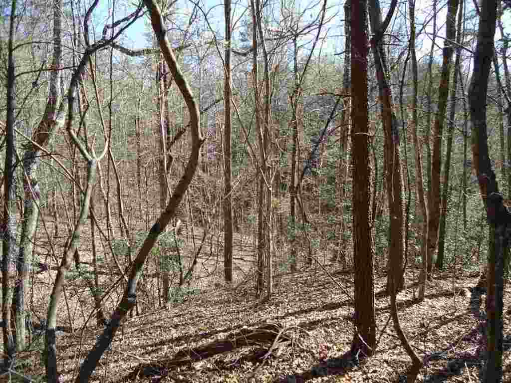 11.79-acres Old Liberty Road Westminster, SC 29693 - Photo 5 of 8 Gallery Image 5