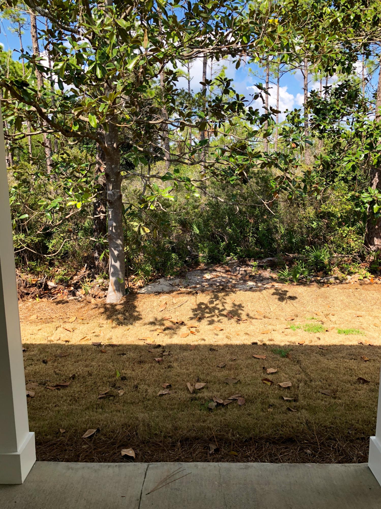 29 Marlin Court Santa Rosa Beach, FL 32459 - Photo 26 of 33 View from Back Door