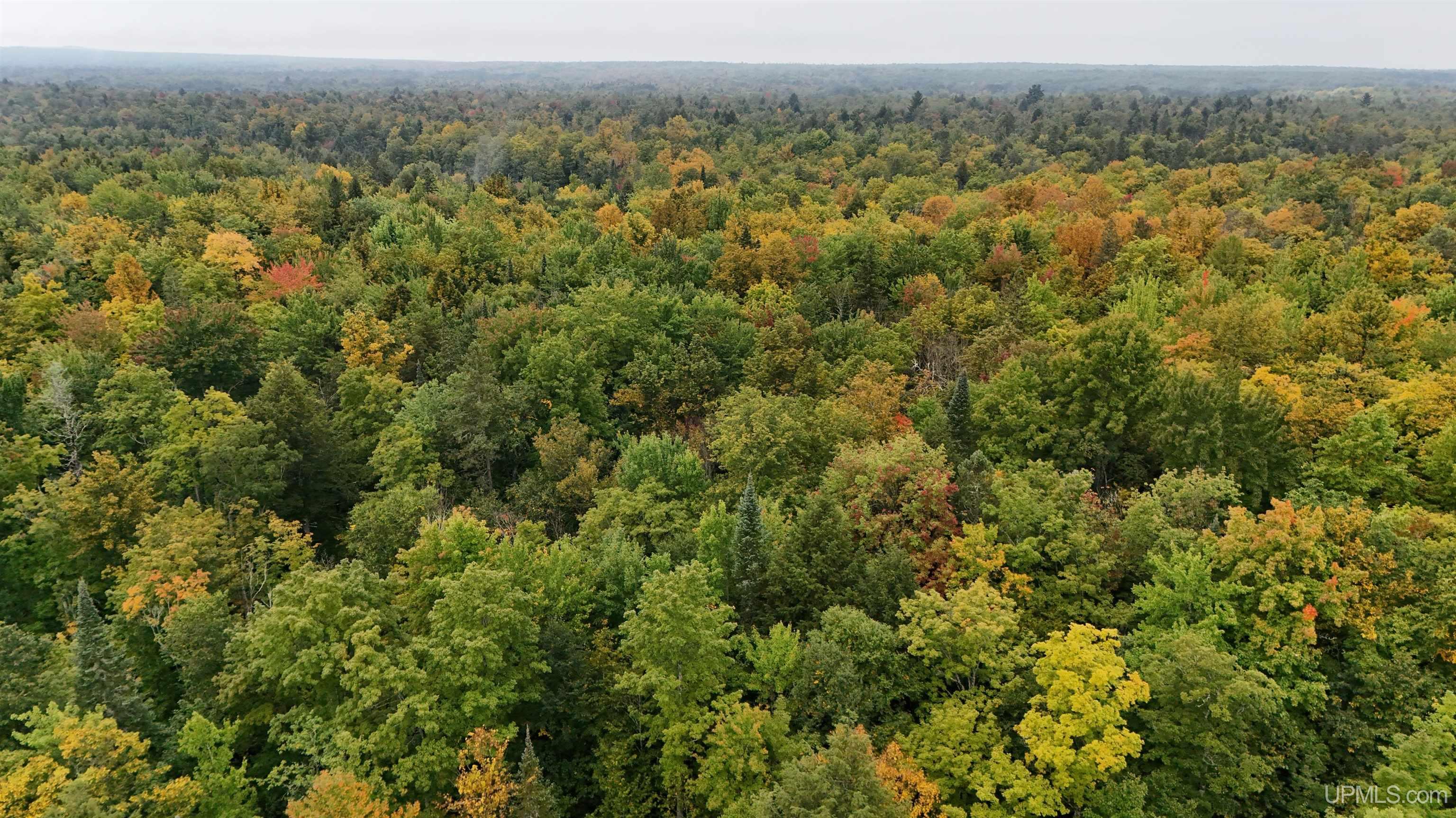 Tbd240 South Firesteel Road Ontonagon, MI 49953 - Photo 6 of 16